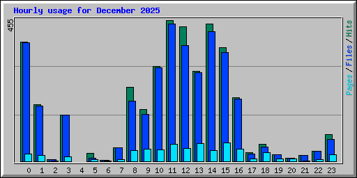 Hourly usage for December 2025