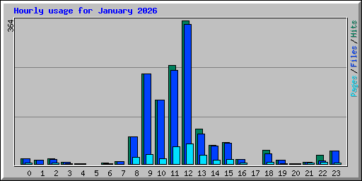 Hourly usage for January 2026